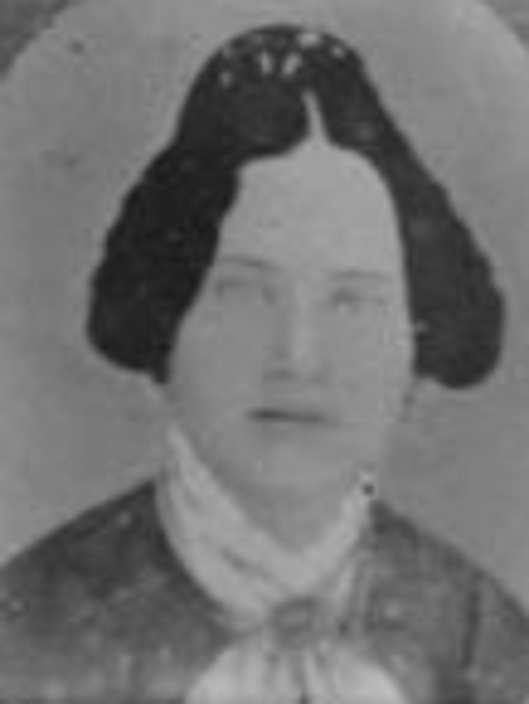Eleanor Caroline Malone (1829 - 1894) Profile